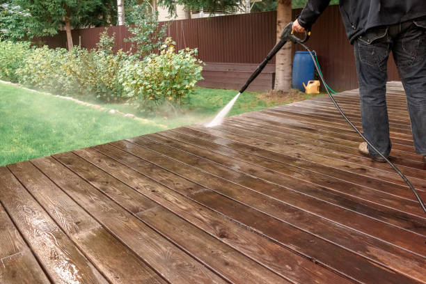 Best House Exterior Washing  in Dudley, NC