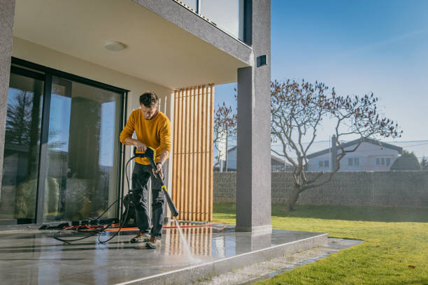 Best Sidewalk and Walkway Cleaning  in Dudley, NC